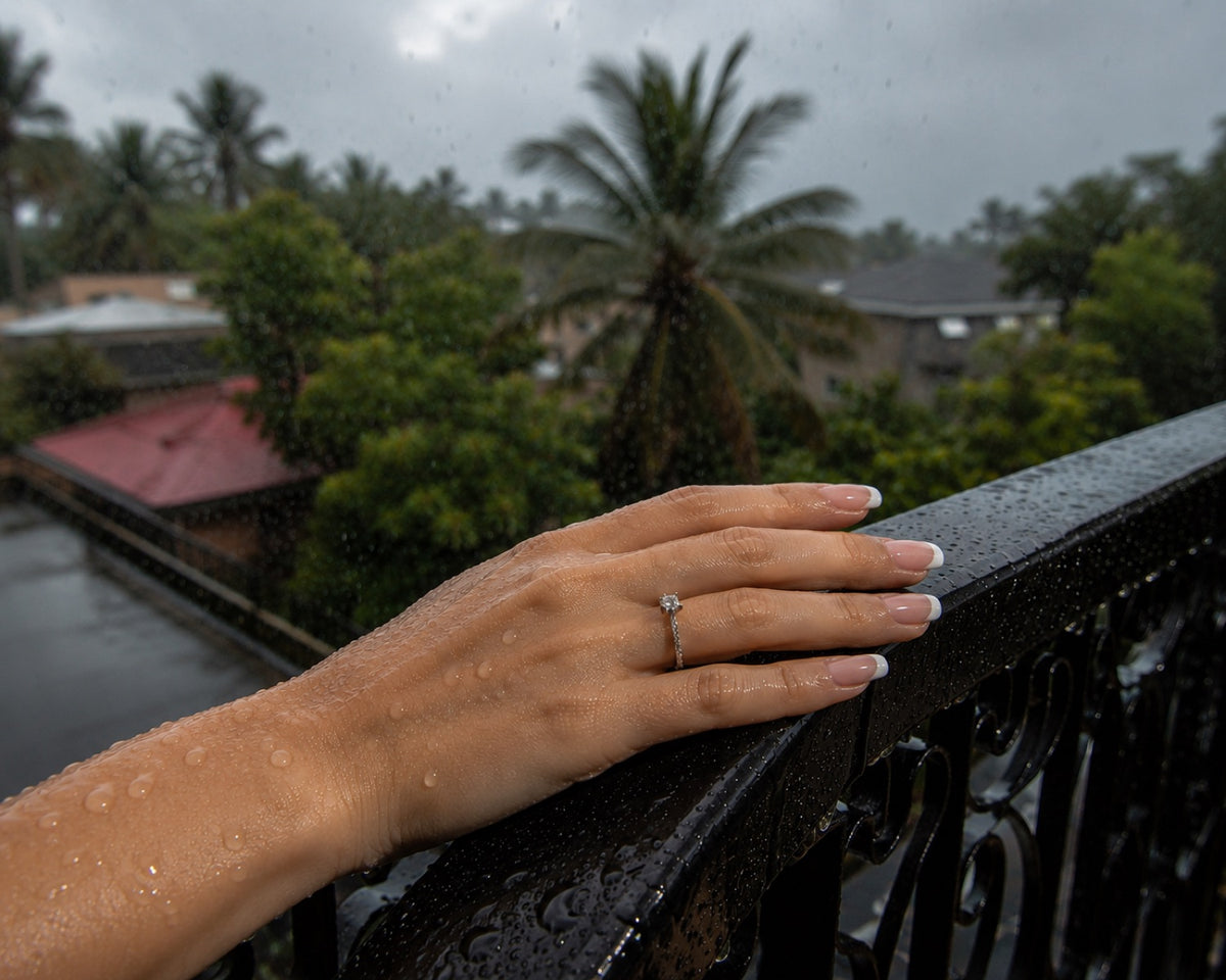 Monsoon 03
